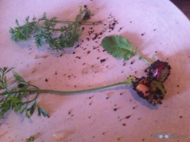 Carrot & Radish In Edible Soil