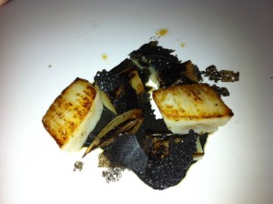 scallopsleek