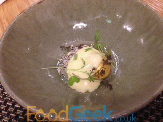 Grown up yolk from the golden egg, salt and vinegar rice and garlic