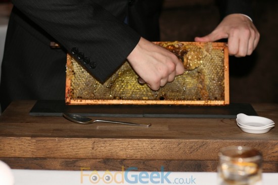 Fresh Honeycomb