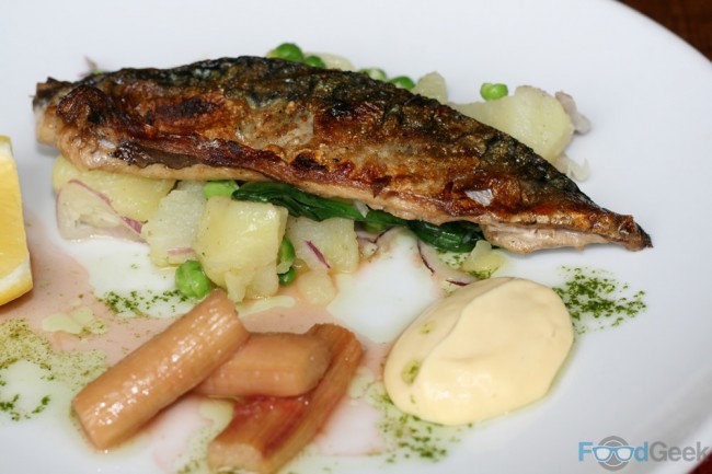 Mackerel, Potato & Spring Green Salad, Roasted Rhubarb