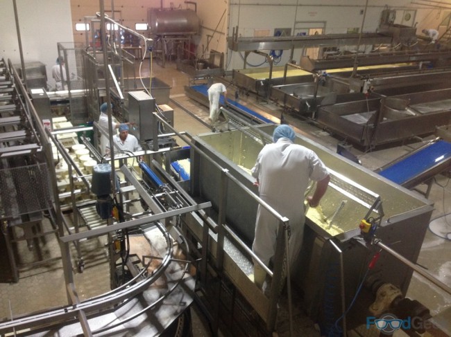 Cheese Making