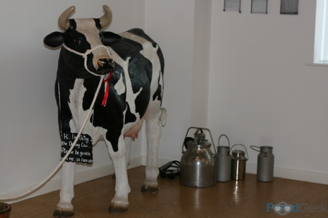 Cow