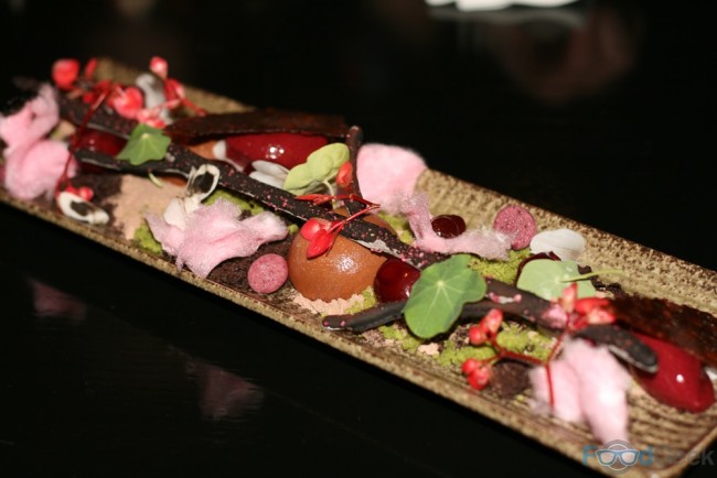 Cherry Blossom