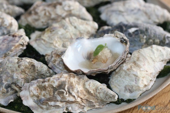 Rock Oyster, Champagne Snow & Lemon Sorrel