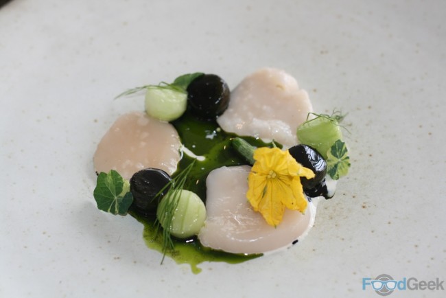 Scallop, Cucumber, Dill Ash