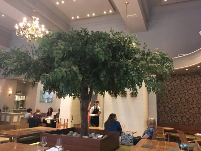 Inside Tree